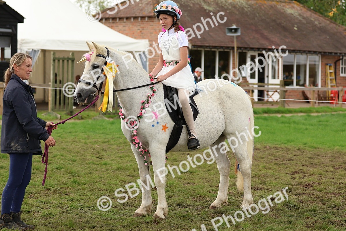 SBM_62241 - S37b - Best Unicorn