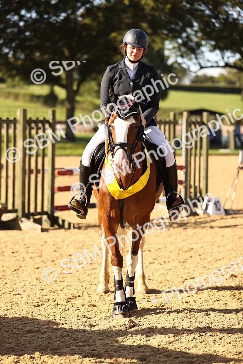 SBM_35200 - J38 - Senior 80cm Championship