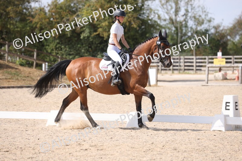 20260815-1070 - Class 6 - Novice 2
