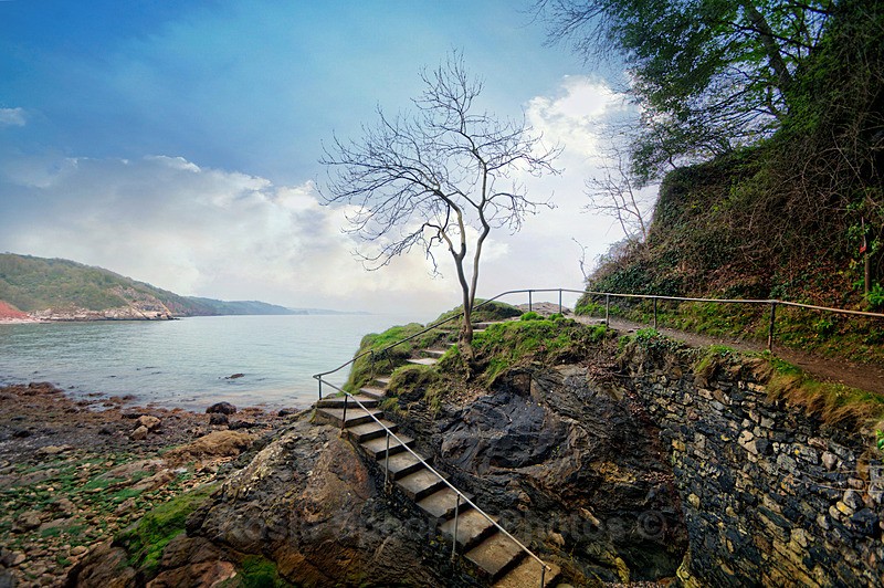 The Lone Tree between Babbacombe Beach and Oddicombe - Torquay See separate galleries for Cockington, Meadfoot and Anstey's Cove