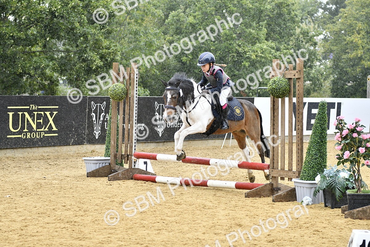 SBM_70780 - J3 - Mini Tour Junior Pony 40cm championship