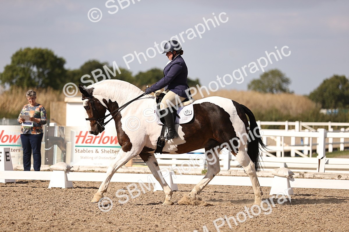 SBM_08020 - Class 38 - Elementary 5