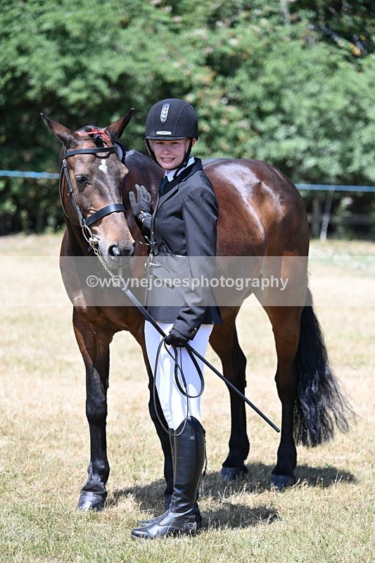 WJ7_2493 - Class 5a Most Handsome Gelding in hand (above 14.2hh)