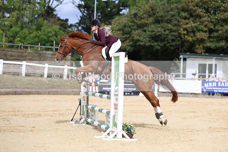 3E7A2323 - Class 4: Senior British Novice/90cm open