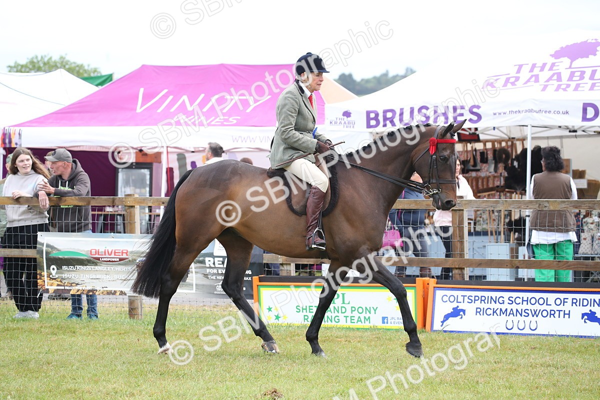 SBM_11480 - Class 94 - LIHS BSHA Racehorse to Showhorse