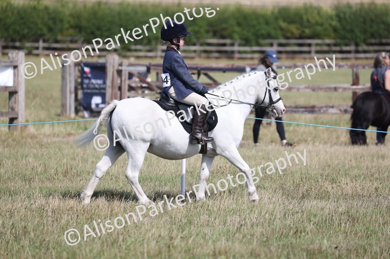20260906-2543 - Class 18 - Childs First Pony