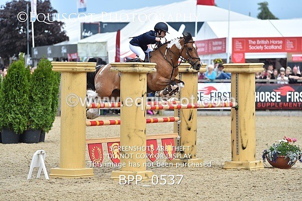 BPP_0537 - RHS 2019 Selection - *Just some random spectator shots so Lucky Dip if you are there!