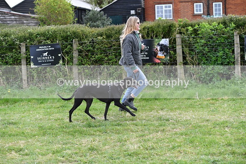 WJ5_9131 - Class 1 Best Cross Breed / Heniz 57