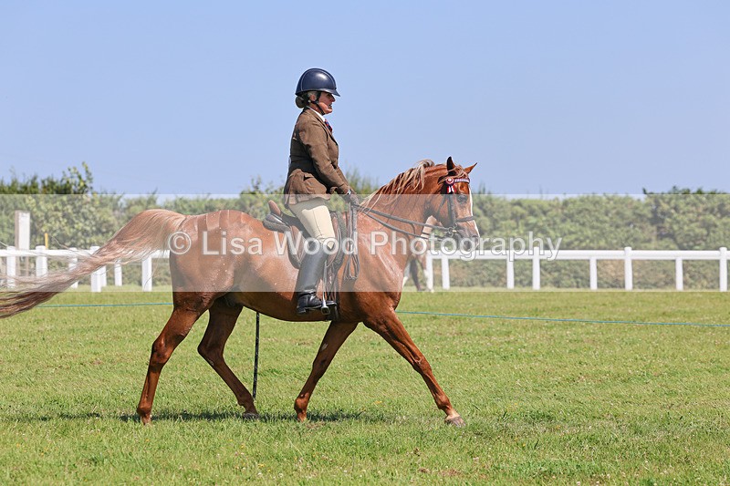 IMG_2235 - Class 37: Pure, Anglo & Part Bred Ridden Arab