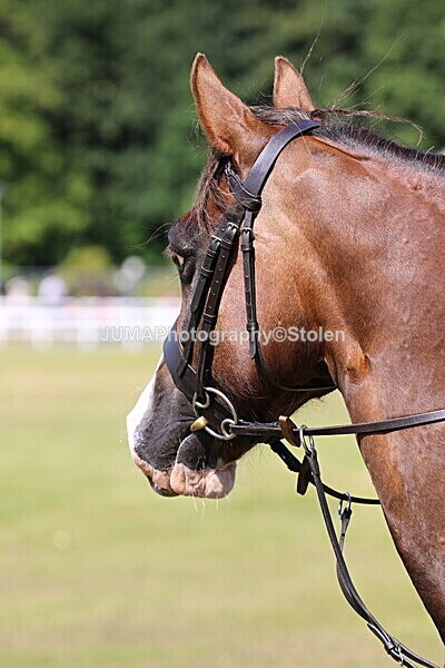 SIAL3579 - Class 8 /9