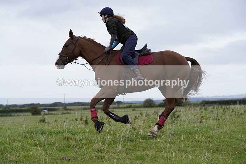 _DSC5416 - Time at Photographer 09:16 to 09:37