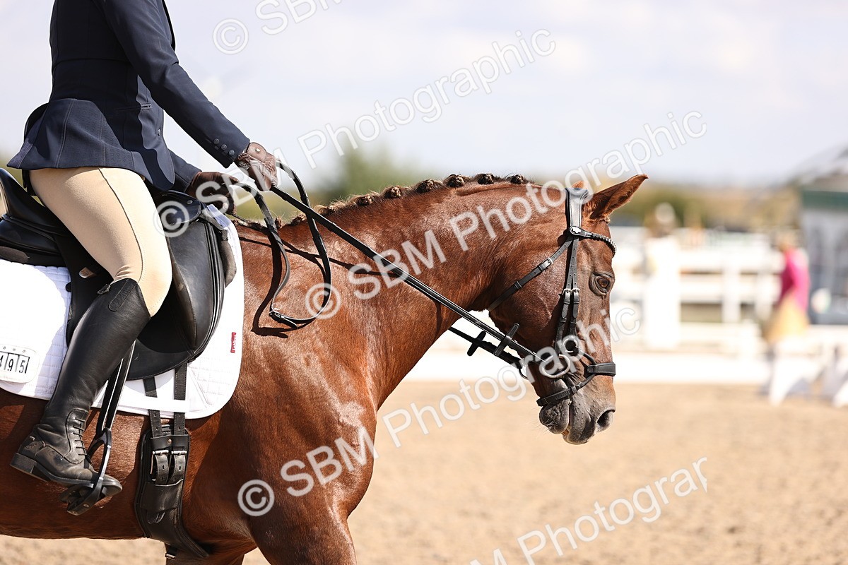 SBM_03578 - CLass 35 Intro 3