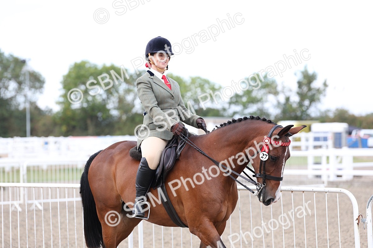 SBM_01461 - Class 52 - Ridden Veteran