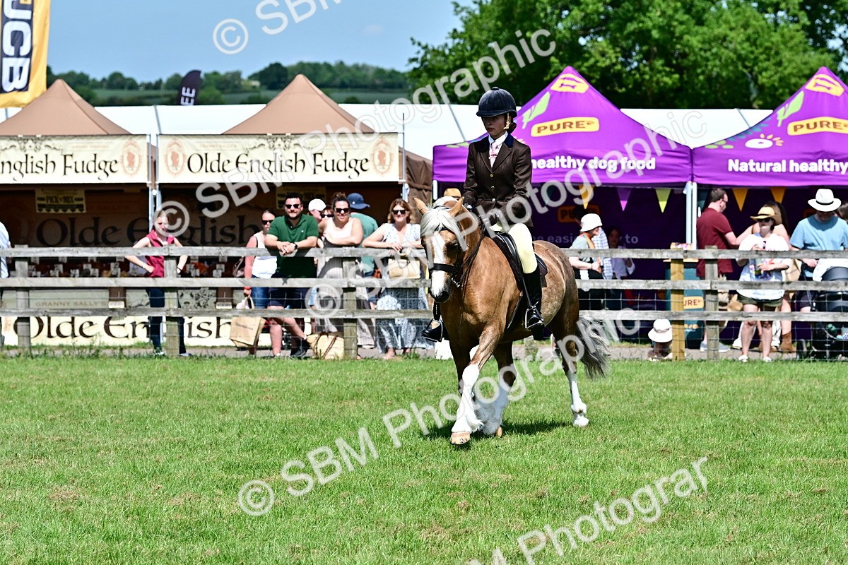 SBM_07956 - Class 61-62 - TSR  M&M Ridden Amateur of the Year