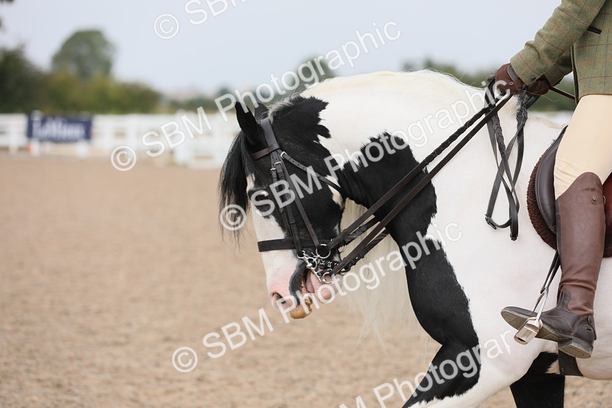 SBM_12804 - Class 307 Ridden Coloured Pony