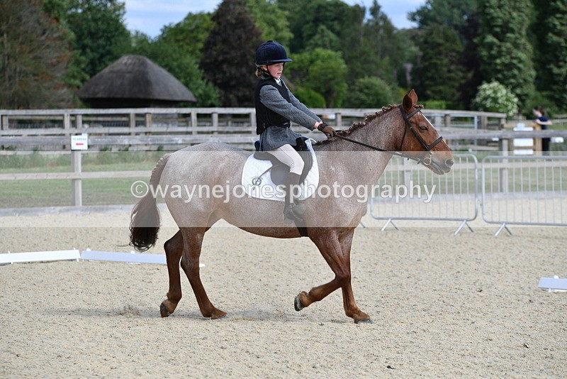 WJ5_7543 - Time 16:25 to 16:37