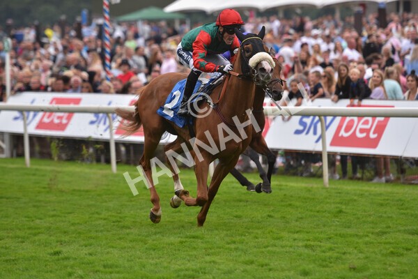 yr24072021r7-54 - Race 7 5.35pm The Sporting Life Fast Results Stakes