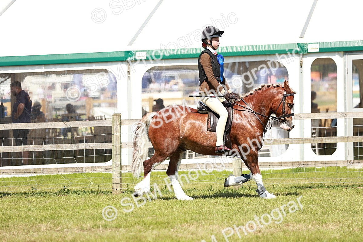 SBM_17683 - Class 112-113 - BSPS LIHS Working Sports Pony