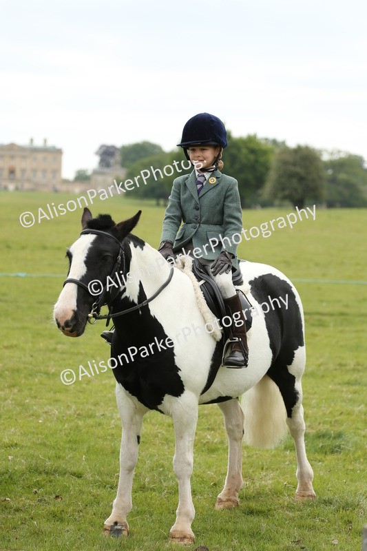 20250517-0612 - Class 20 - Beginners Working Hunter