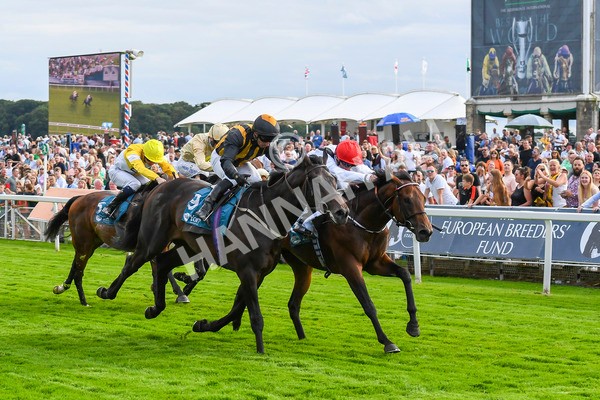 280723-Race 3-Loose Cannon-0299 - Race 3 6.05pm Ire-Incentive, It Pays To Buy Irish EBF Restricted Novice Stakes