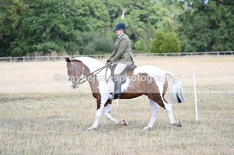 WJ7_7140 - Class 14 Ridden Coloured