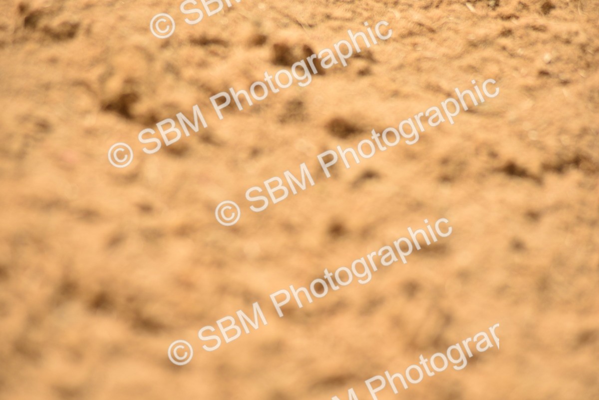 SBM_07752 - D15 - Small Tour Championship Novice 1