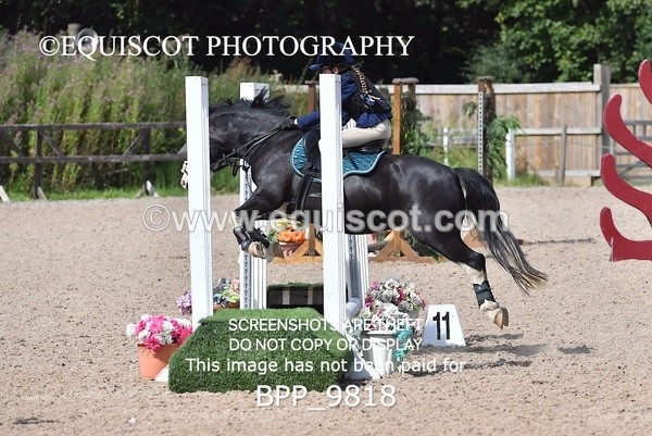 BPP_9818 - CLASS 3 Derby Show Jumping 40CM