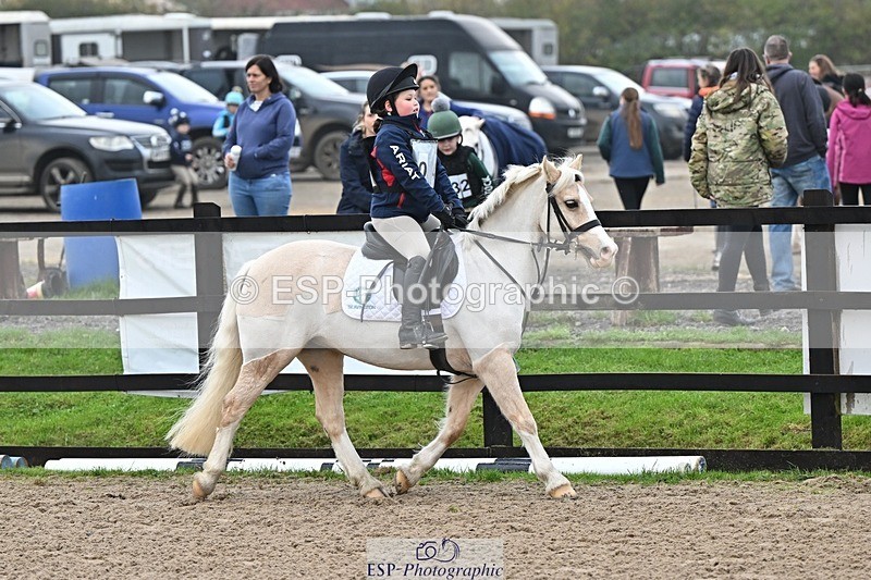 241110-101223-00214 - 40cm Showjumping