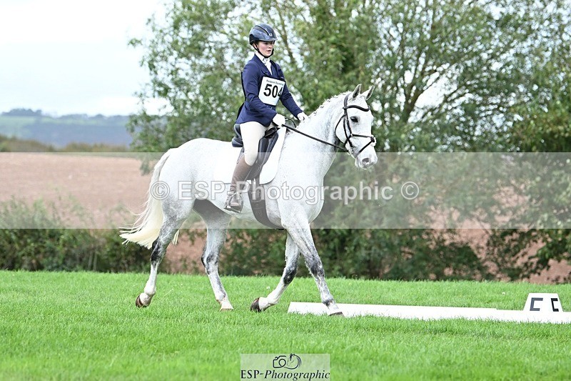 231020-152020-11146 - 504-CALYPSO'S.PRIDE-Letitia.Pickles-DR