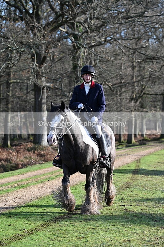 WJ7_7829 - Line 3 (no line 4 or 5)