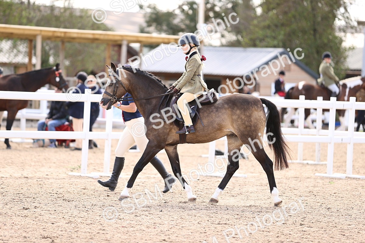 SBM_12849 - Class 409 - Grassroots Ridden - Pony