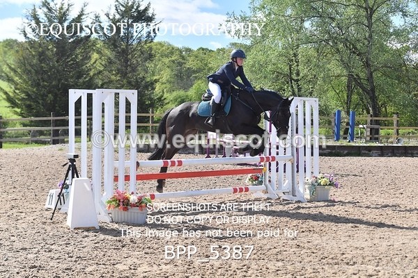 BPP_5387 - CLASS 22 SUN Club/ Unaffiliated 80cms Open