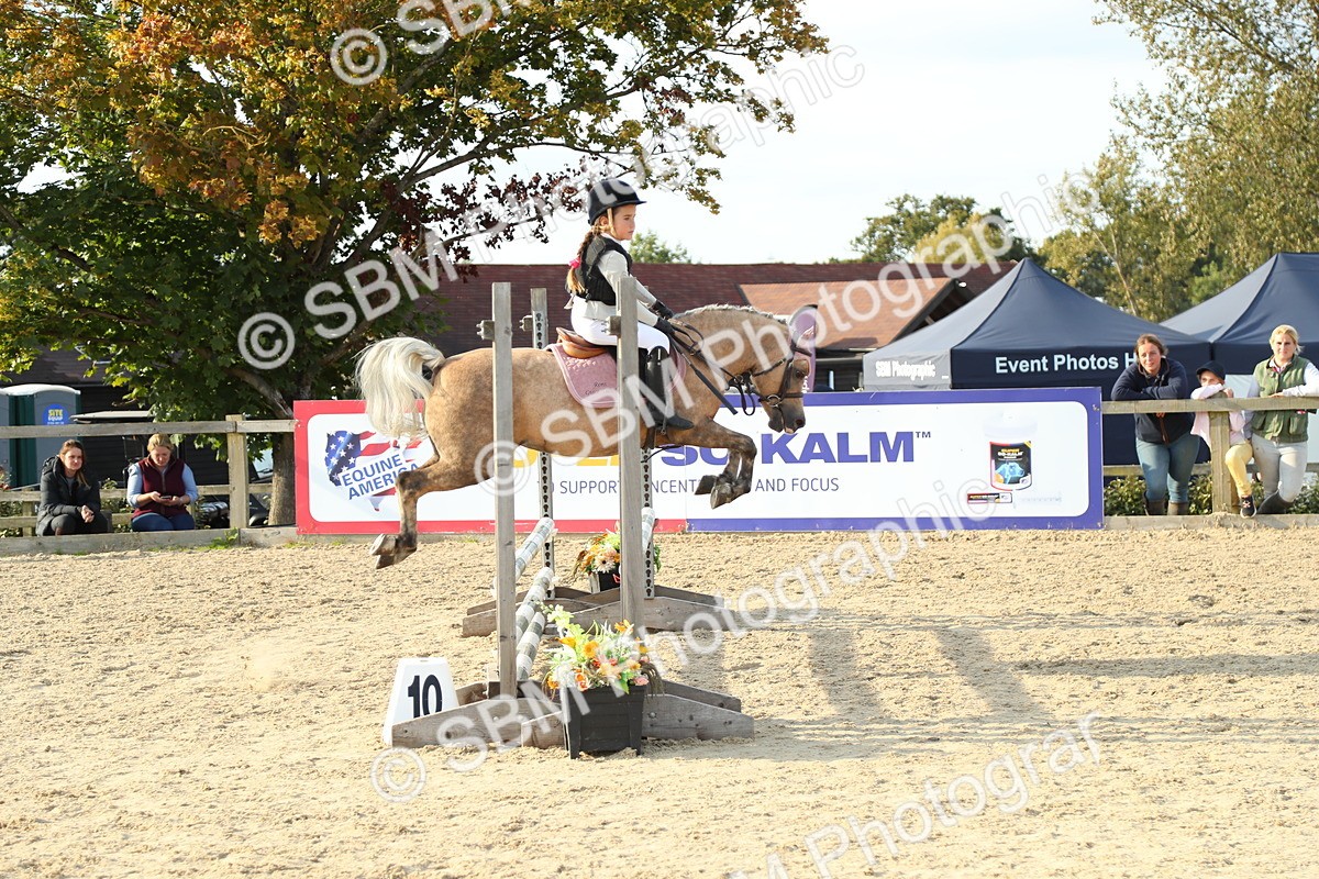 SBM_53589 - J8 - Junior Pony 65cm Championship