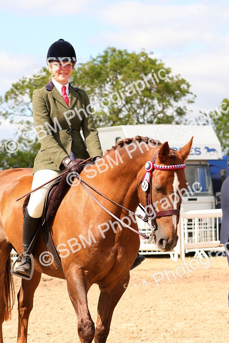 SBM_14131 - Class 213 - Ridden Hack Riding Horse
