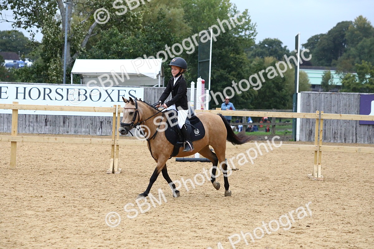 SBM_68403 - J3b - Mini Tour Junior Pony 40cm Championship