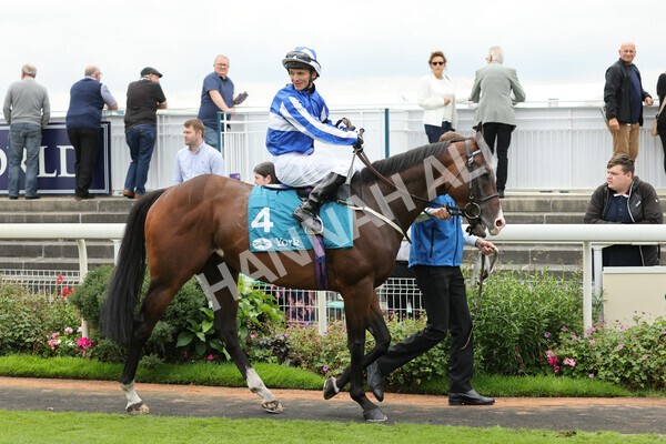 yr04092022r3-10 - Race 3 2.55pm The Elevator Company Garrowby Stakes