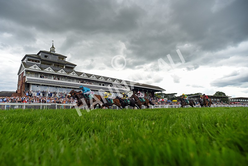 170724-Race 3-Ingleby Archie-1582