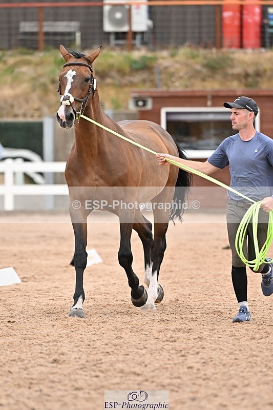 250716-160302-02363 - Trot Up 3.30 to 4.30