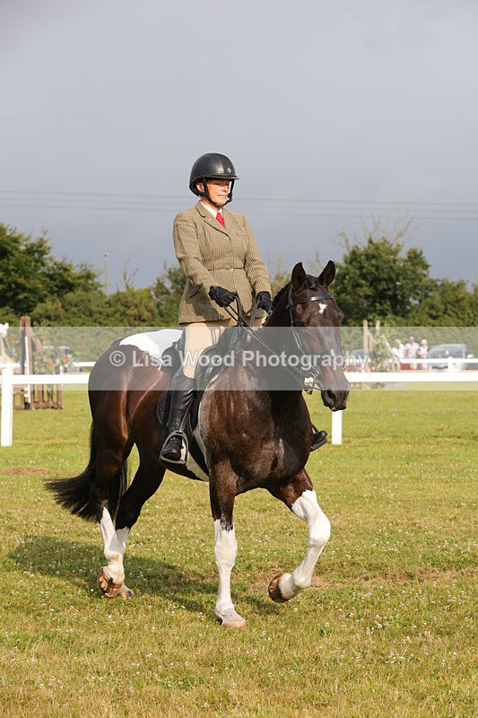 1X9A2926 - Class 25: Ridden Plaited Coloured Horse
