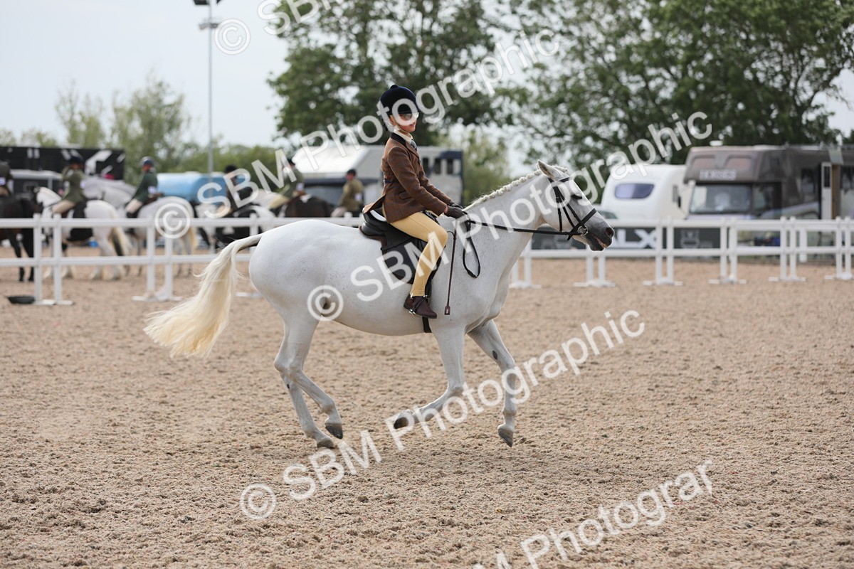 SBM_17014 - Class 314 Family Horse/Pony