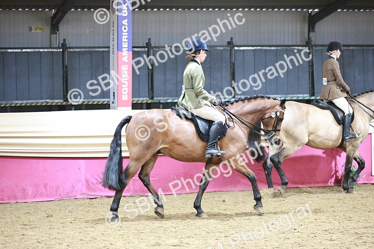 SBM_03331 - Class 6A Area Ridden Pre-Vet
