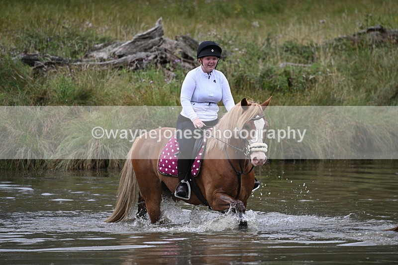 WJ7_5687 - Time at Water 14:54 to 15:14