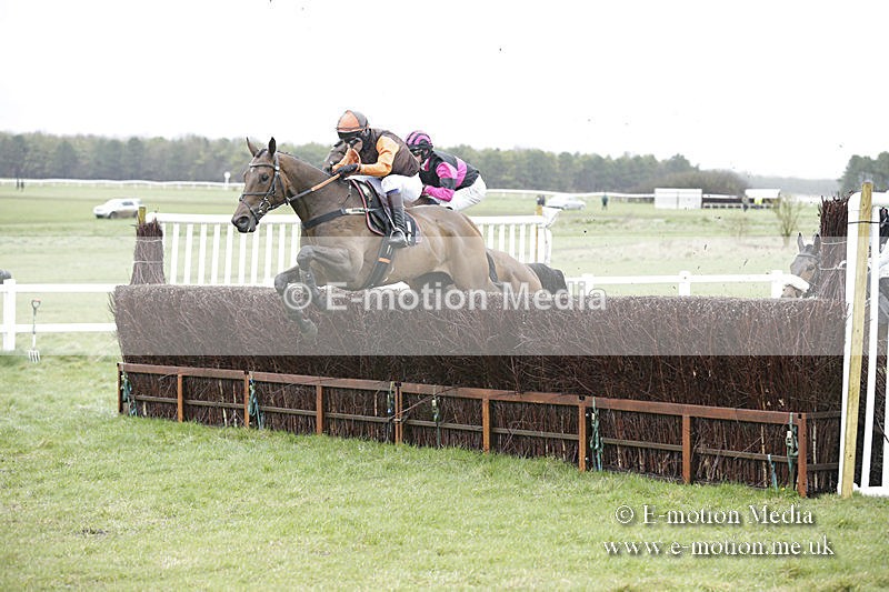 PtP 150320 0194 - New Forest Point-to-Point Larkhill 15/03/20
