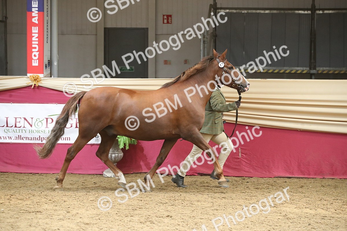 SBM_05578 - Class 9R - Regional IH Pre-Vet