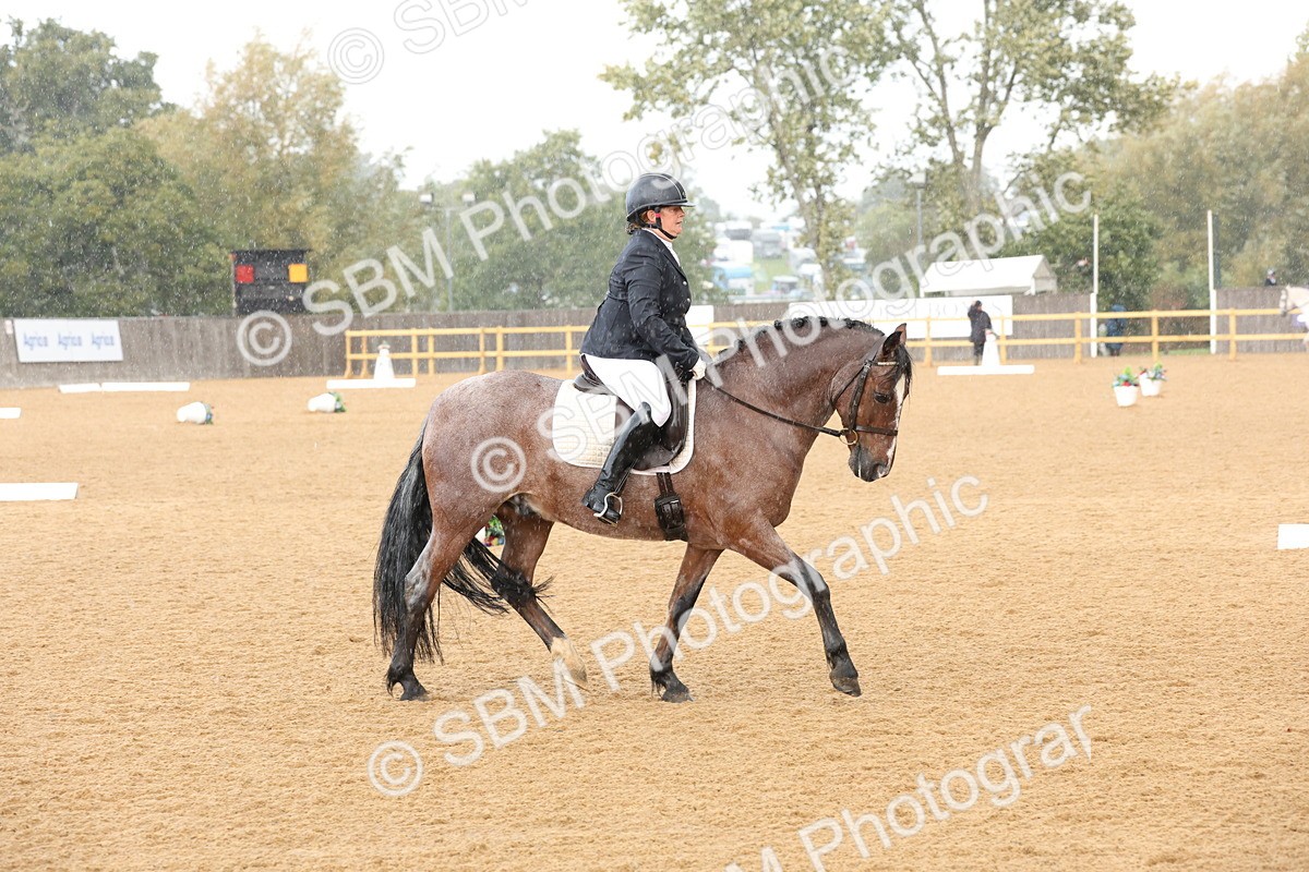 SBM_19556 - D10 - Small Tour Championship Prelim 2