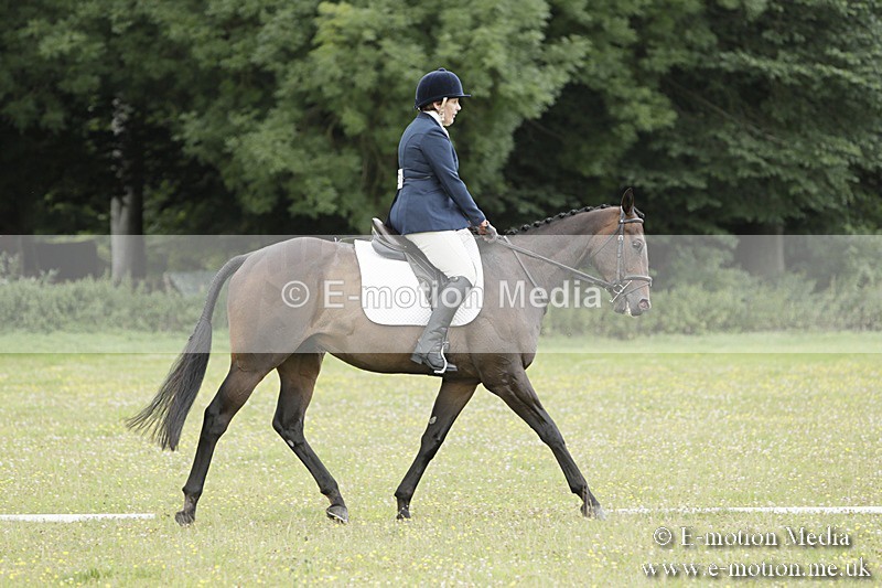 BVR160717-1456 - Class 3 Dressage 16/07/17