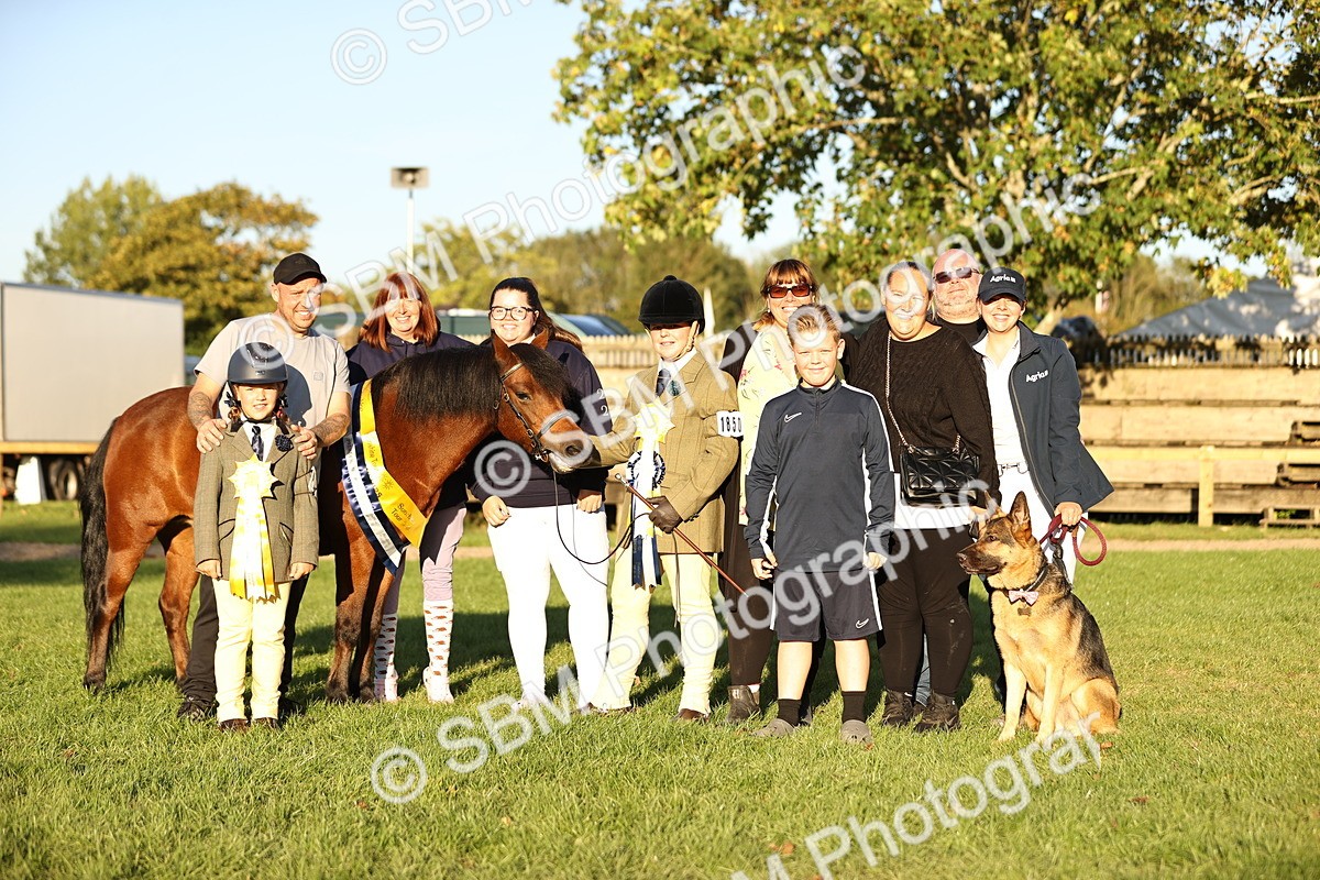 SBM_30161 - Novice & Newcomers Supreme Championship