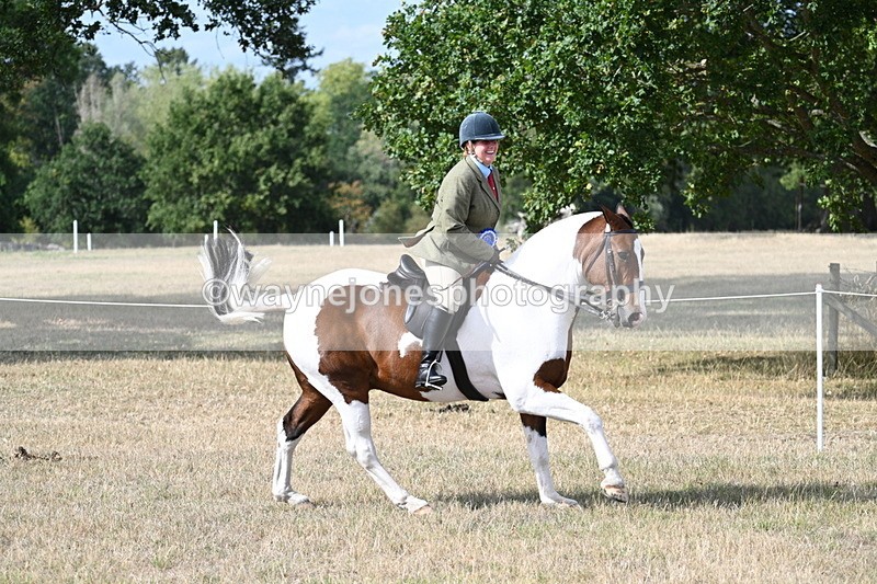 WJ7_7515 - Class 14 Ridden Coloured