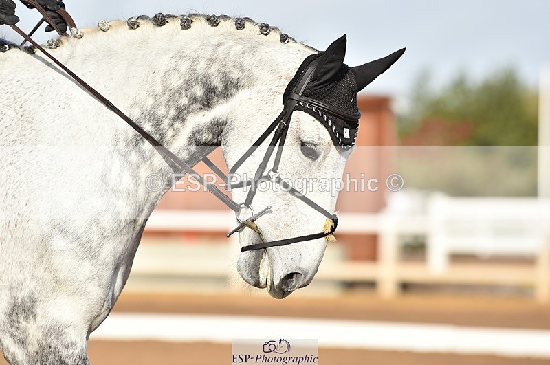 231104A-103946-01412 - Cls 2 Prelim 19