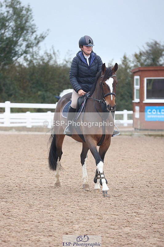 231112A-100550-03192 - Cls 17 Blue Chip Novice Winter Qualifier